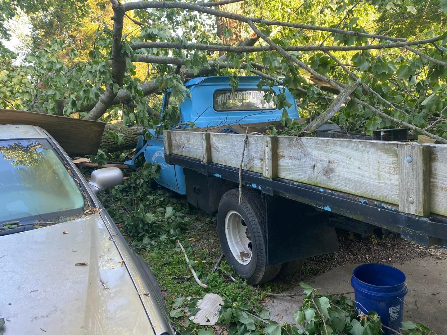 Emergency Tree Removal Alton, IL