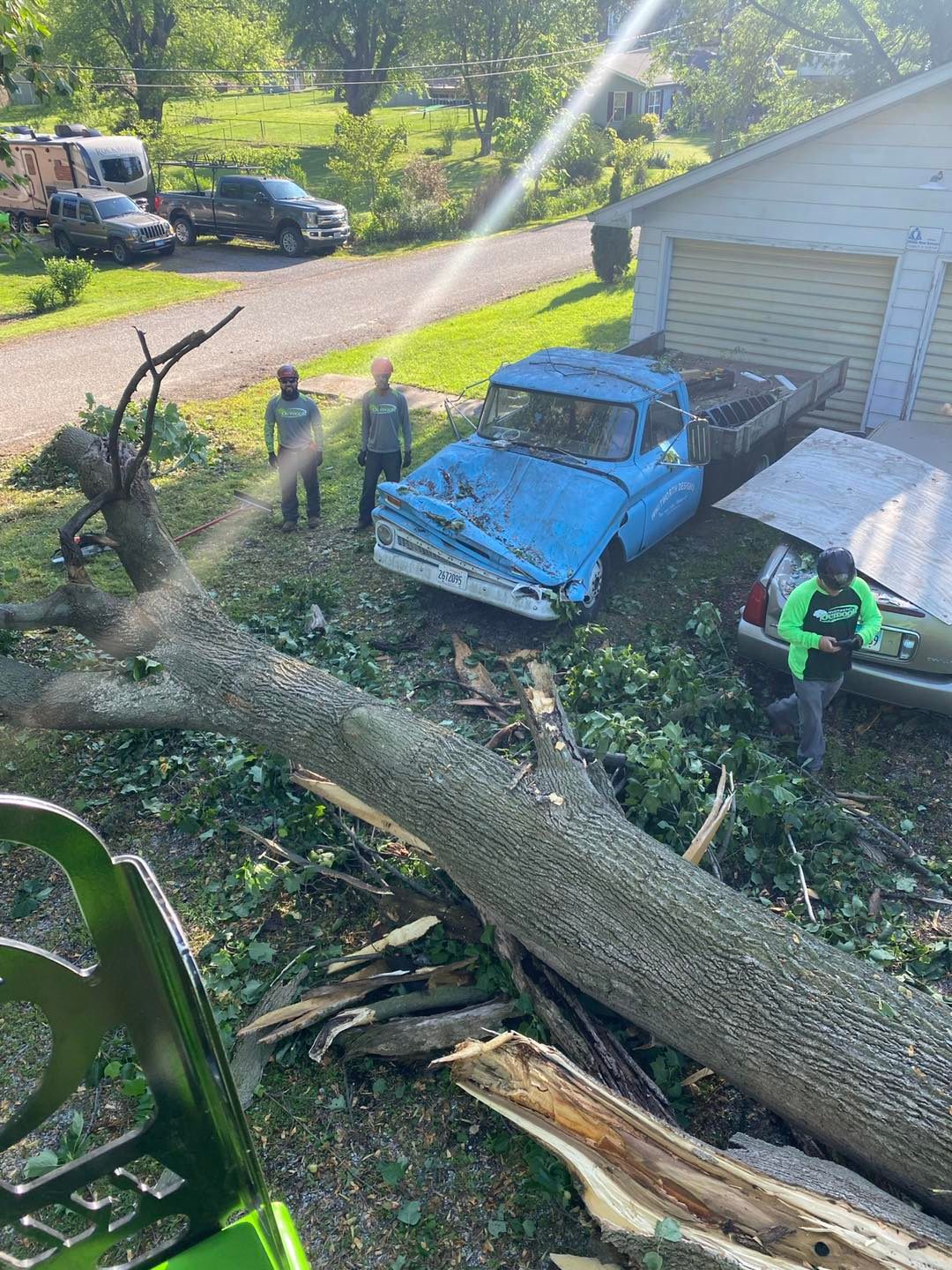 Emergency Tree Removal in Alton