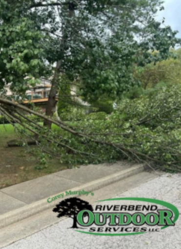 tree removal in Alton IL