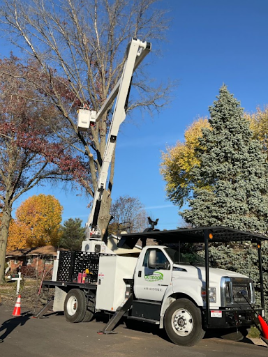 Tree Removal in Bethalto
