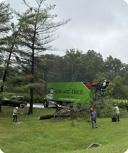 Professional Tree Removal Services in Alton, IL