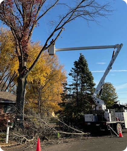 Tree Trimming Services in Alton, IL