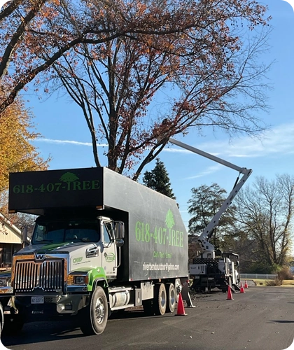 Expert Tree Trimming and Pruning Services in Godfrey, IL