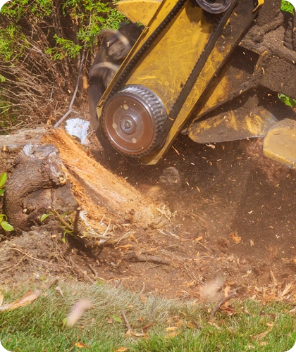Stump Grinding Godfrey