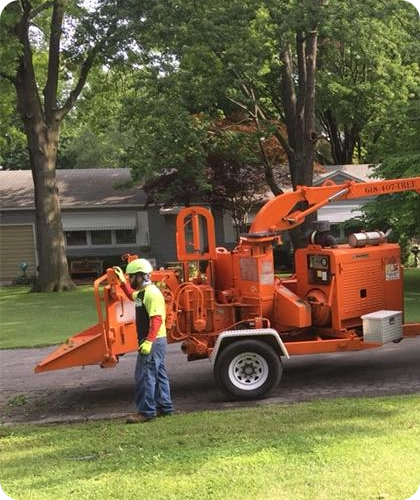 Edwardsville, IL Property Cleanup with Reliable Greenway Waste Hauling