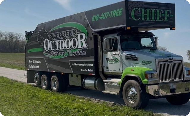 Professional Tree Care and Reliable Outdoor Solutions Alton, IL
