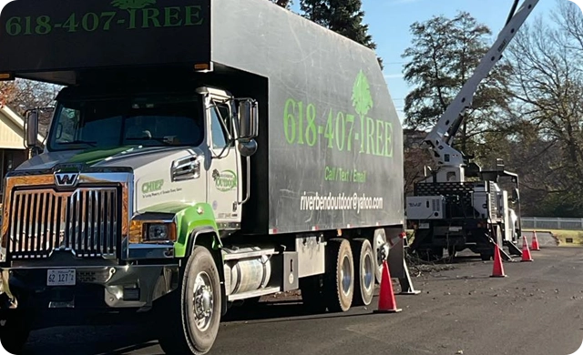 Outdoor Tree Maintenance East Alton, IL