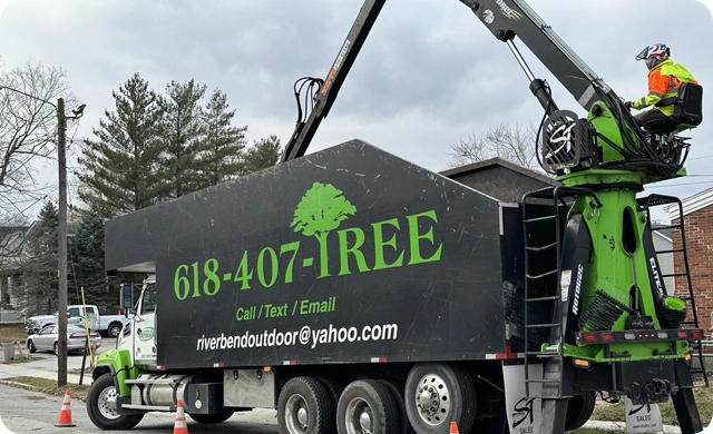 Comprehensive Tree and Landscape Care for Edwardsville, IL