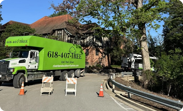 Professional Tree Care and Landscape Solutions