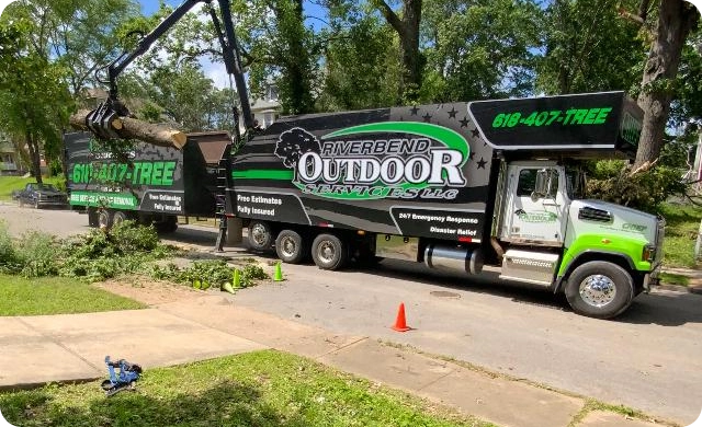 Hassle-Free Waste Hauling for a Healthier Yard